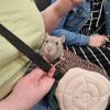 Photo By Ashley Hayward