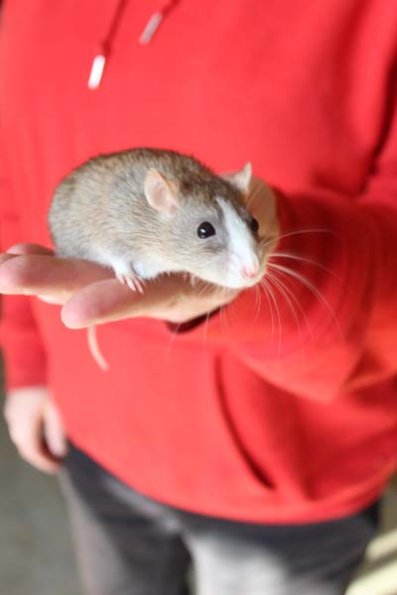 20241005105953_IMG_8960