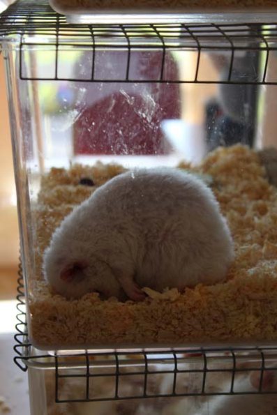 20241005115908_IMG_9013