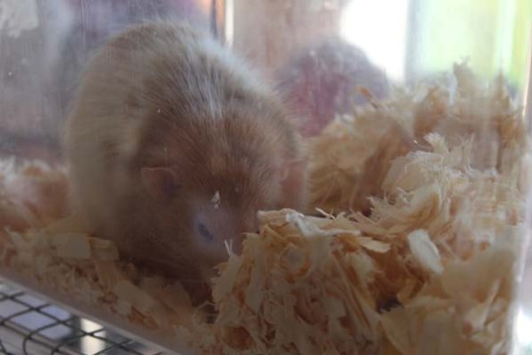 20241005115929_IMG_9016