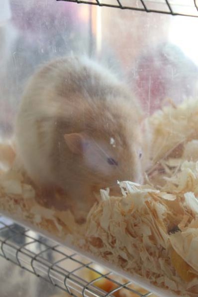 20241005115933_IMG_9018