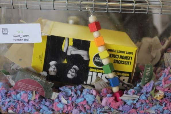 20241005131015_IMG_9020