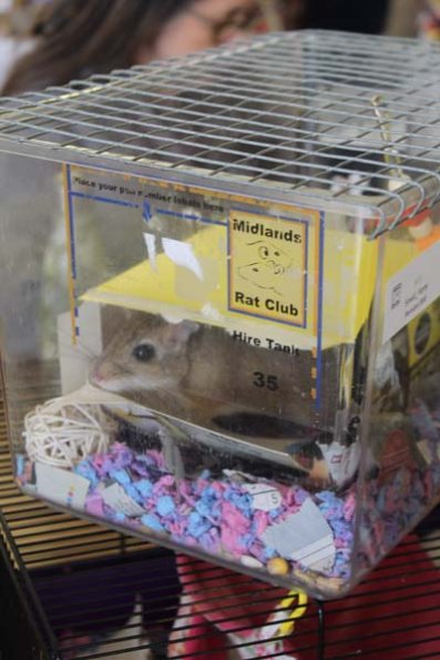 20241005131030_IMG_9023