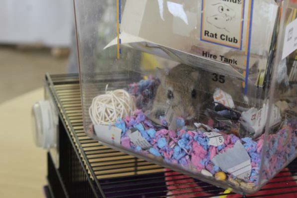 20241005131055_IMG_9028