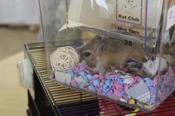 20241005131057_IMG_9029