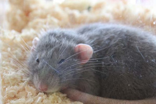 20241005131117_IMG_9034