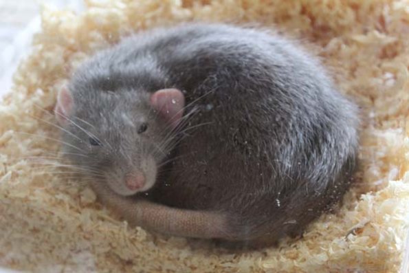 20241005131153_IMG_9038