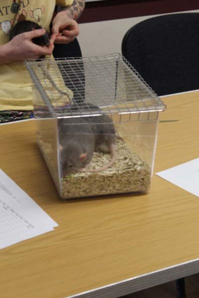 20240406103207_IMG_7243