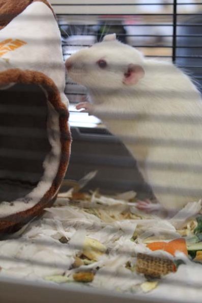 20240406103459_IMG_7263