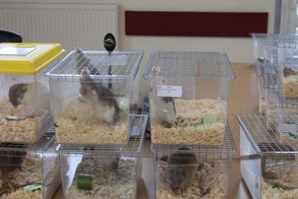 20240406103512_IMG_7265