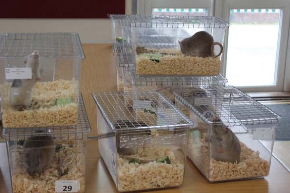 20240406103516_IMG_7268