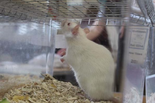 20240406103720_IMG_7271