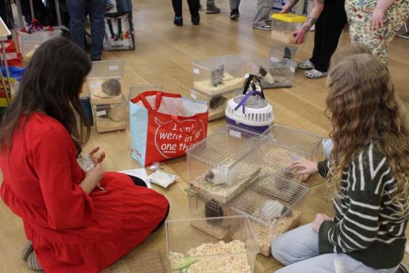 20240406103900_IMG_7278