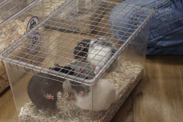 20240406104835_IMG_7286