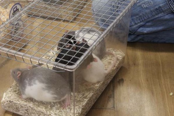 20240406104838_IMG_7288