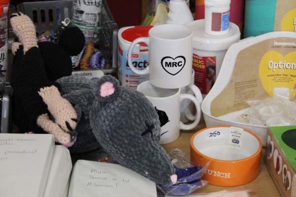 20240406104913_IMG_7290