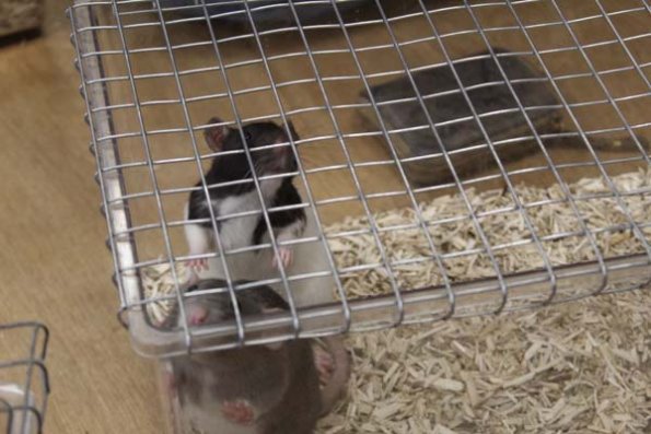 20240406104941_IMG_7291