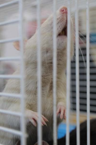 20240406105019_IMG_7297