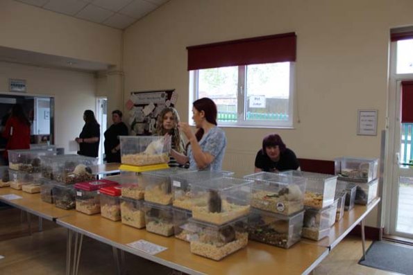 20240406105327_IMG_7320