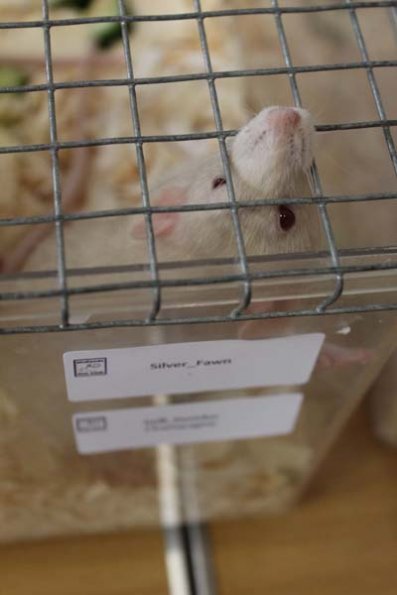 20240406105515_IMG_7332