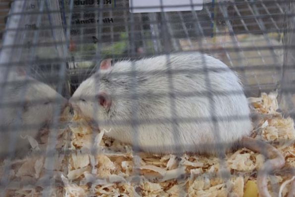 20240406105529_IMG_7334