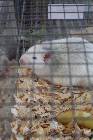 20240406105532_IMG_7335