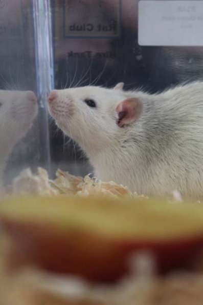 20240406105545_IMG_7337