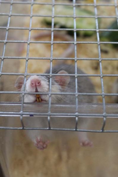 20240406105612_IMG_7344