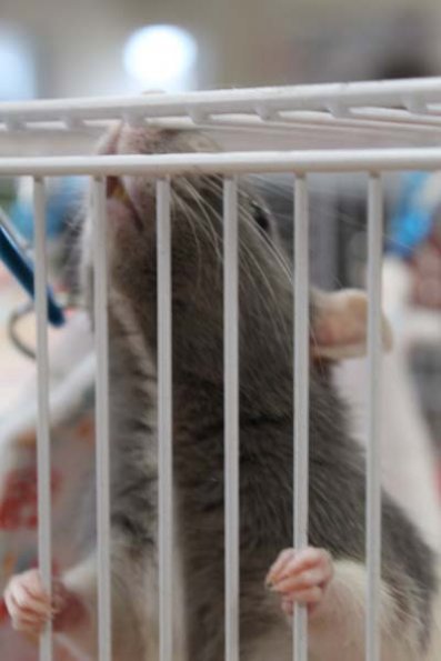 20240406105701_IMG_7349