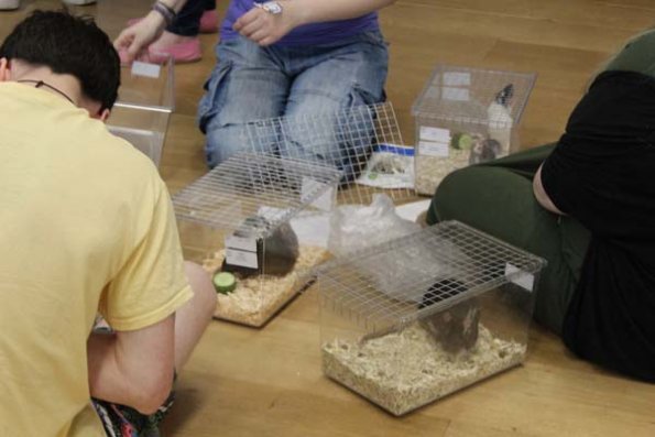 20240406105733_IMG_7353