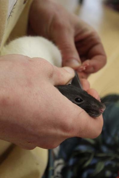 20240406105839_IMG_7368