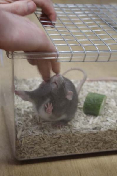 20240406105926_IMG_7378