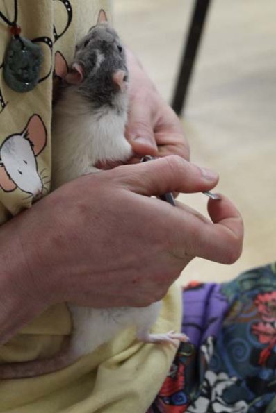 20240406110007_IMG_7381