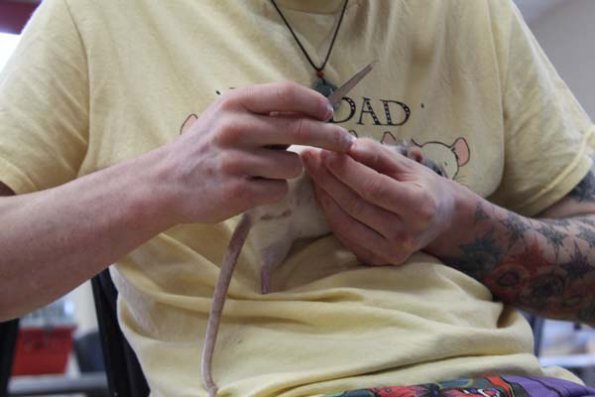 20240406110252_IMG_7409