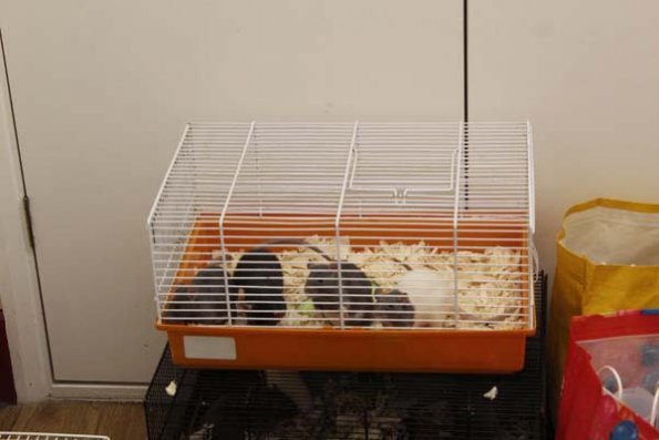 20240406110552_IMG_7423