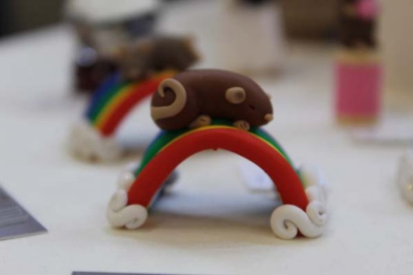 20240406110753_IMG_7428