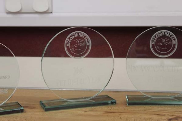 20240406111228_IMG_7458