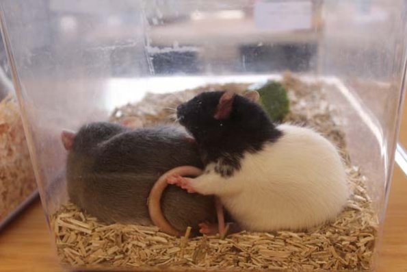 20240406124301_IMG_7569