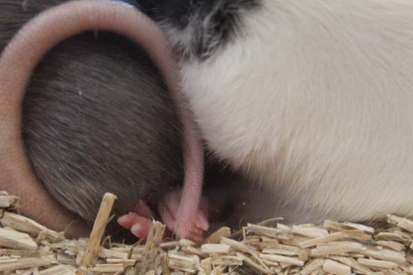 20240406124322_IMG_7572