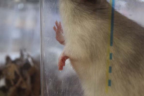 20240406124330_IMG_7574