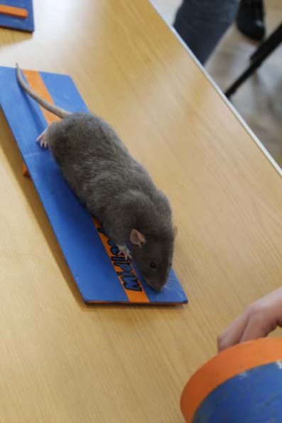 20240406163549_IMG_7817