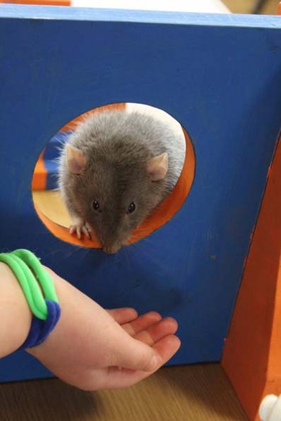 20240406163726_IMG_7821