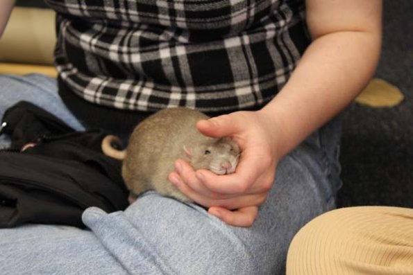 20240406173718_IMG_7880