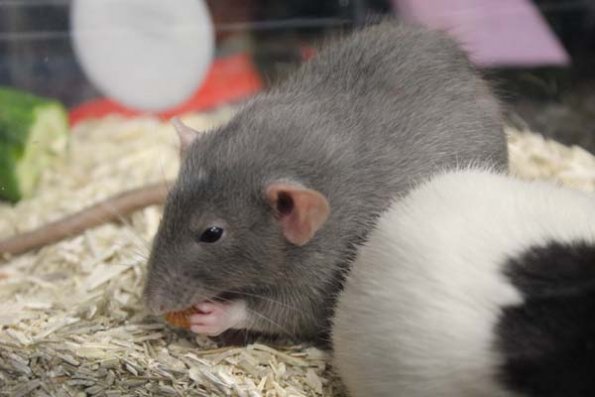 20240406173855_IMG_7885