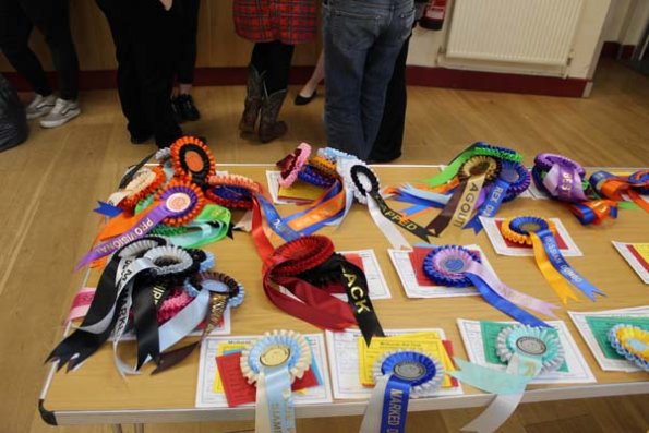 20240406173932_IMG_7887