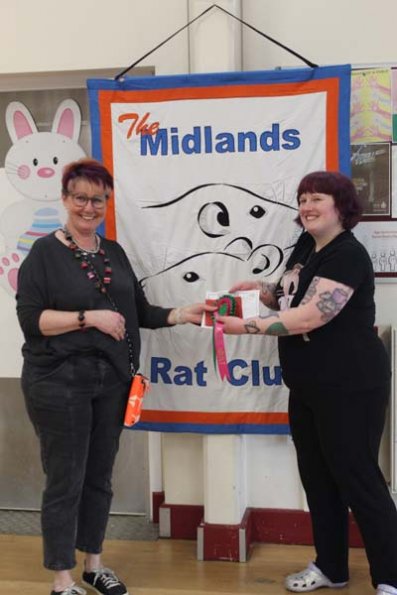 20240406174815_IMG_7896