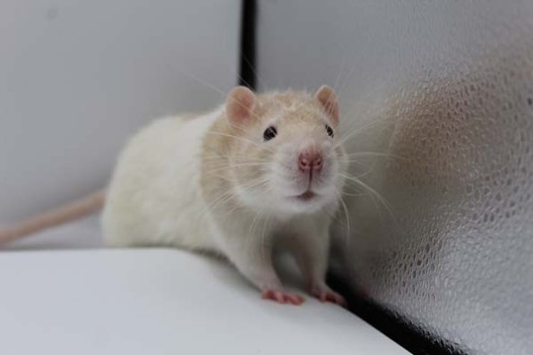 IMG_1364