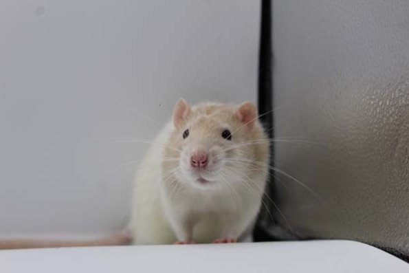 IMG_1372