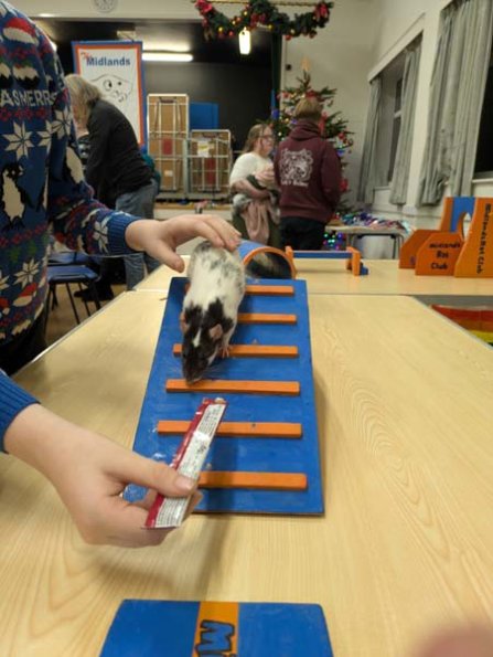 PXL_20251206_165633912