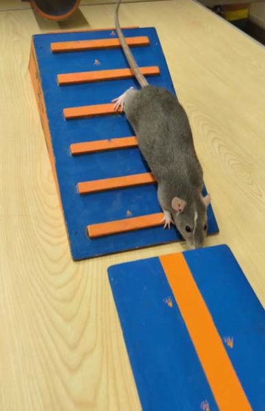 PXL_20251206_170014623_exported_1710